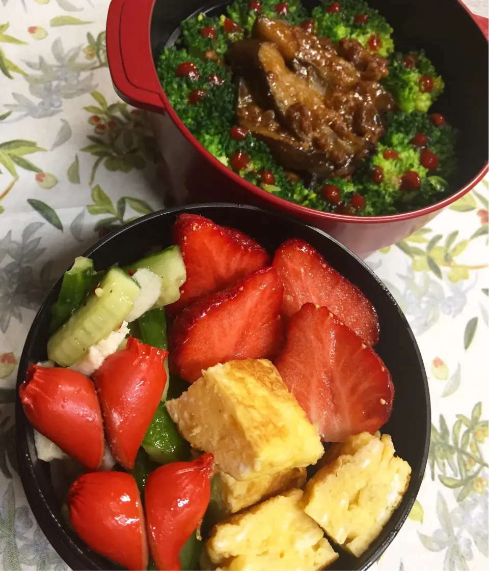 Snapdishの料理写真:茄子麻婆飯丼弁当🍆|みっこちゃんさん