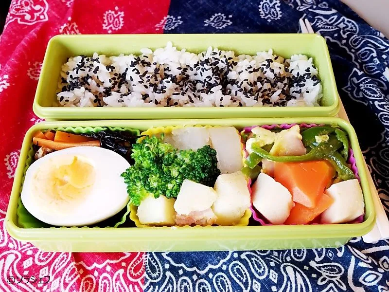 今週の弁当
★味玉
★ひじき煮
★角切りジャーマンポテト
★茹でブロッコリー
★大根の煮物
★高野豆腐とにんじんの煮物
★ピーマンとベーコンのカレー炒め|ソラシェフさん