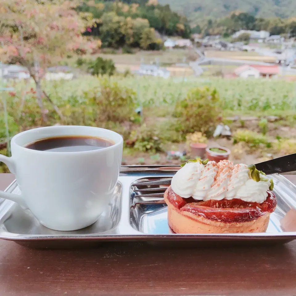 キャラメルりんごのタルト🍎|ちゃみこさん