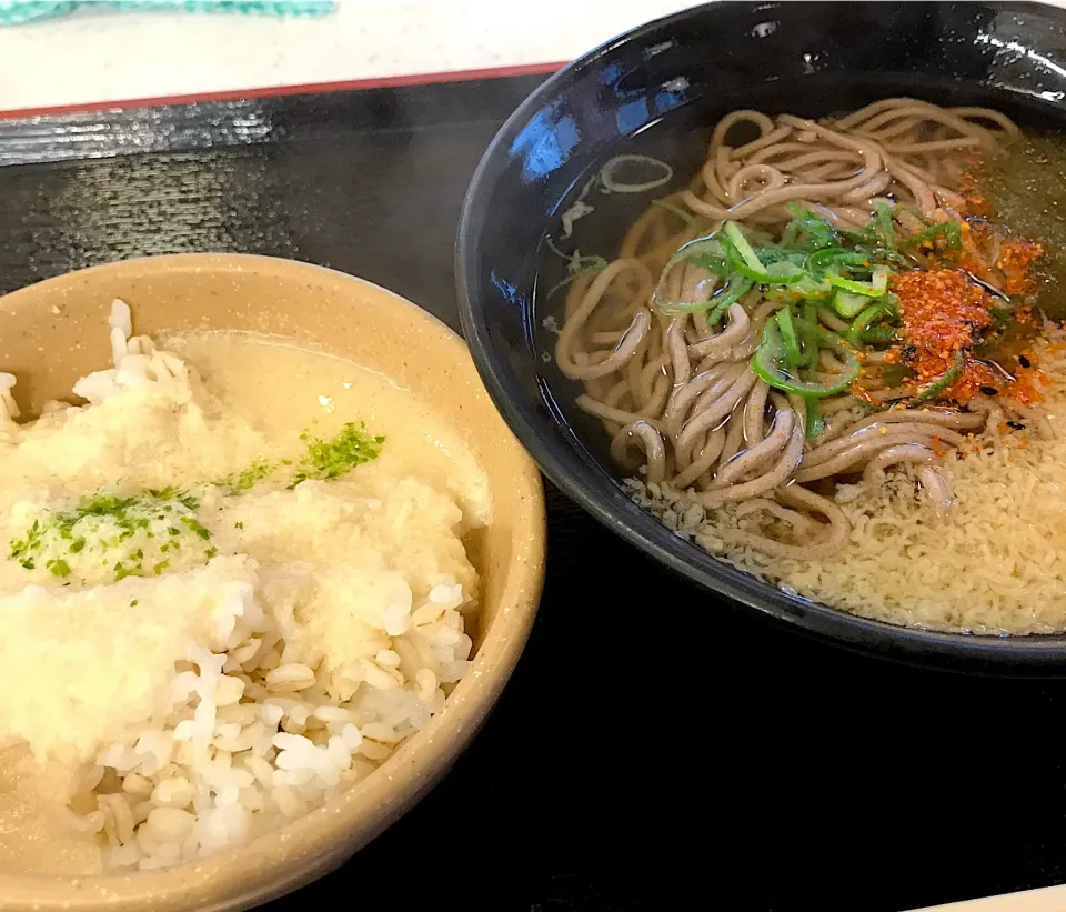 昼餉は定食屋さんで、麦とろご飯と掛け蕎麦…あ❗️しまった😭ダブル炭水化物で高糖質やん💦痩せるわけないわな🐷|にゃあ（芸名）さん