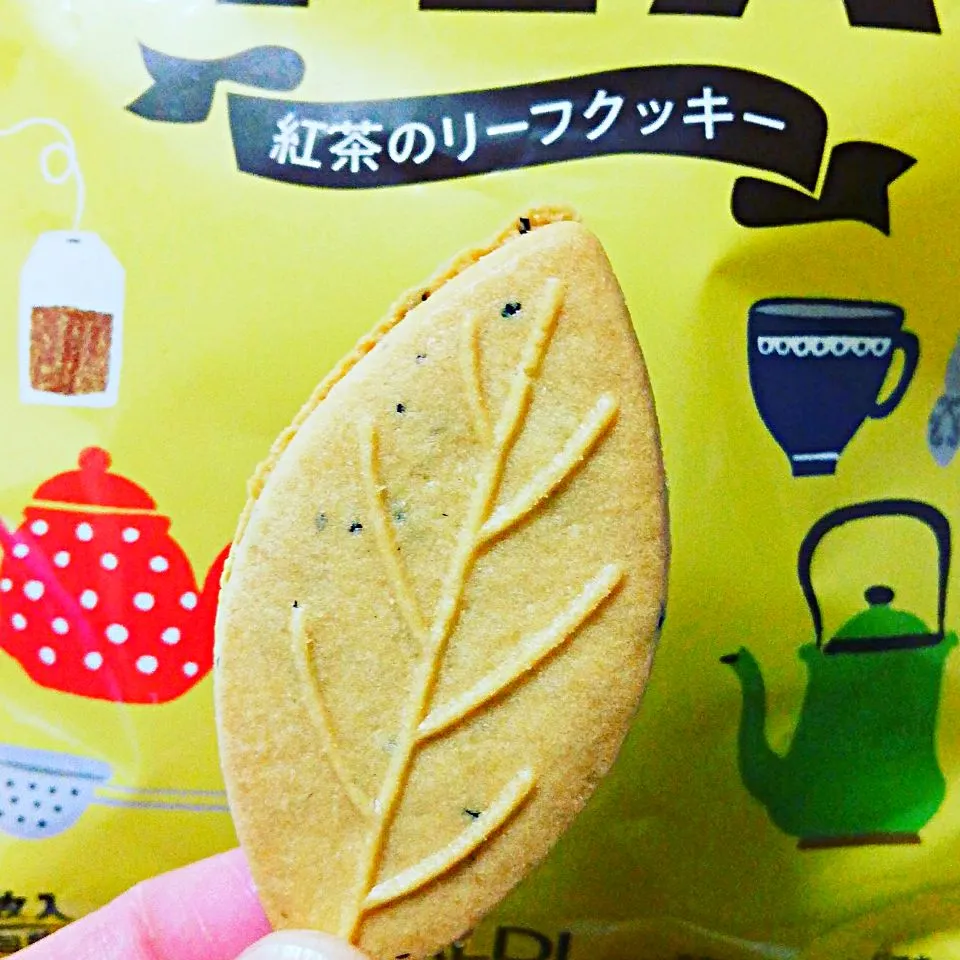 紅茶のリーフクッキー🍪(12/20)
#クッキー #紅茶クッキー #カルディ|海猫さん