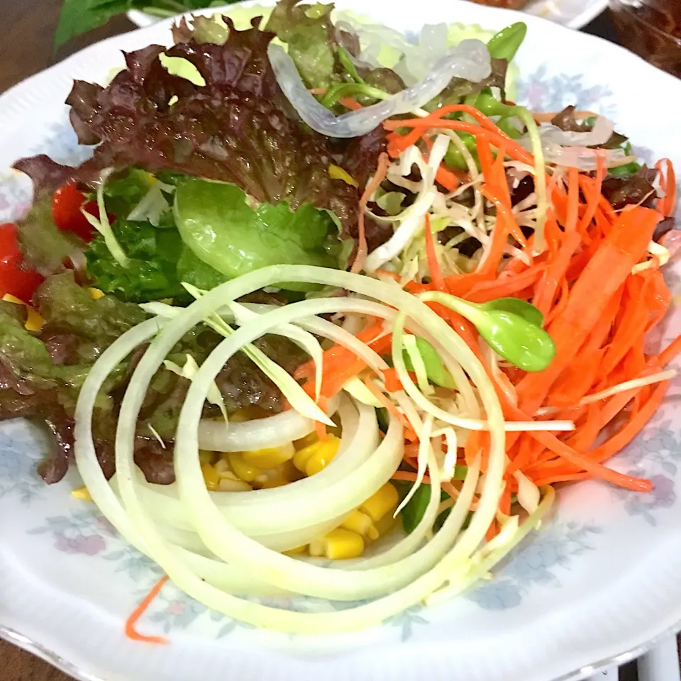 Salad 🥗🥕🌽🥒🥬🥦|MommyKik & PunPunさん