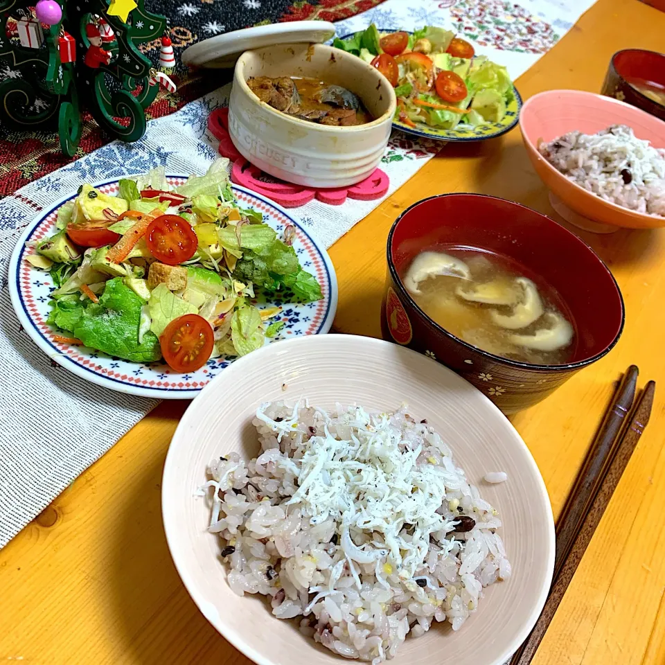 本日の夕食#味噌鯖煮#十六穀米#椎茸の味噌汁#サラダ|Sakuraさん