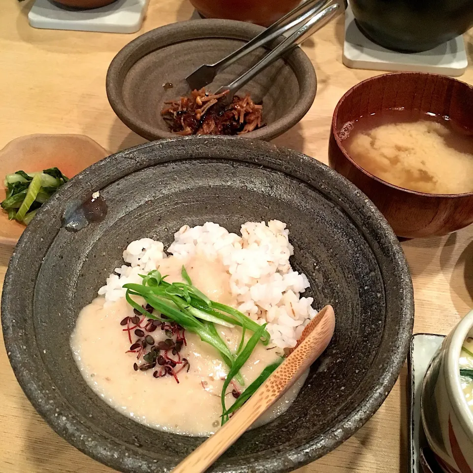 夜の定食（自然薯とろろ汁、麦飯、あさりの味噌汁）|こいちさん