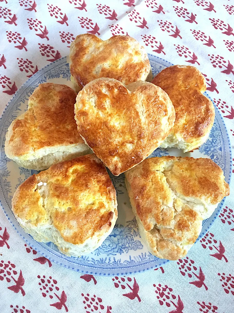 Heart shaped British cream scones  #scones #creamscones #britishscones|🌺IAnneさん