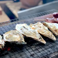 Snapdishの料理写真:牡蠣の網焼き！ #牡蠣  #焼き牡蠣|赤鬼のビルさん