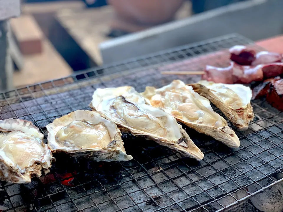 牡蠣の網焼き！ #牡蠣  #焼き牡蠣|赤鬼のビルさん