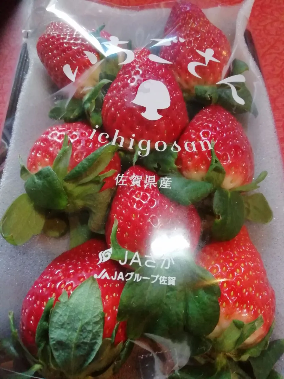 Snapdishの料理写真:🍓新品種🍓その名も【いちごさん】|@きなこさん