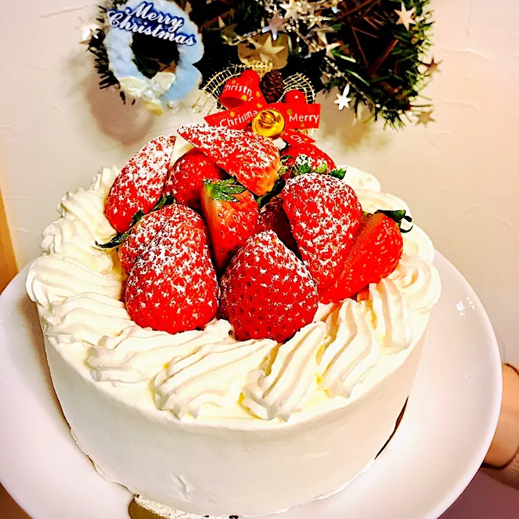 クリスマスケーキ|白のパンダさん