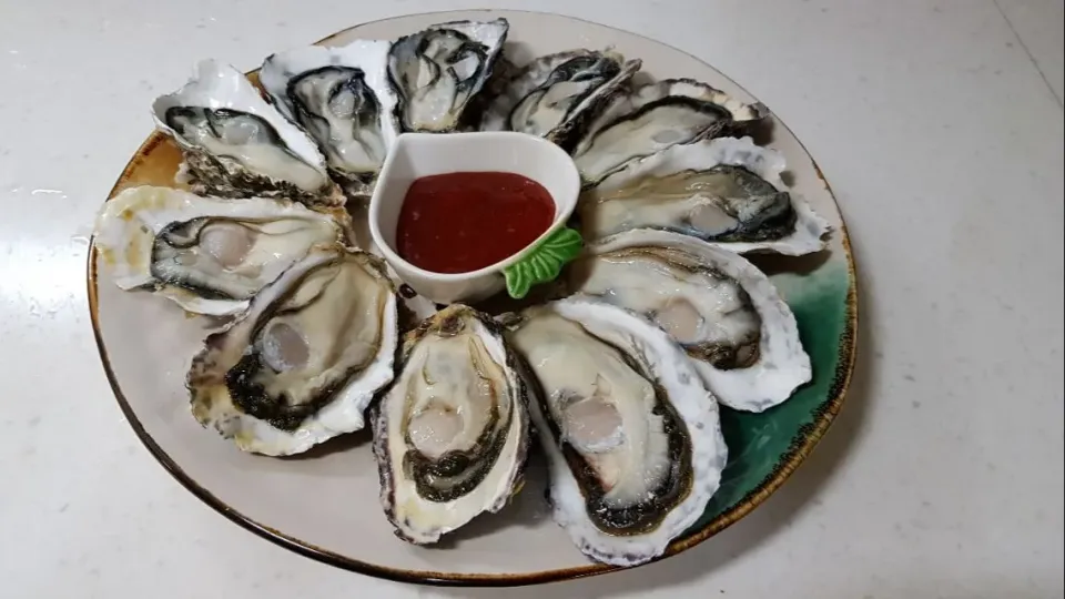 oysters in half shell|steven z.y.さん