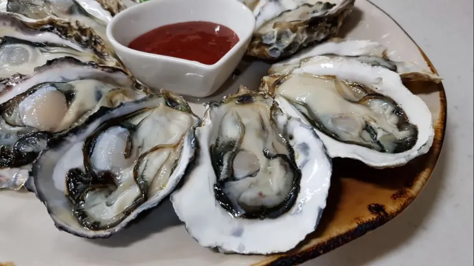 oysters in half shell|steven z.y.さん