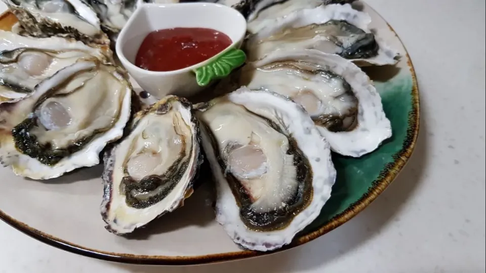 oysters in half shell|steven z.y.さん