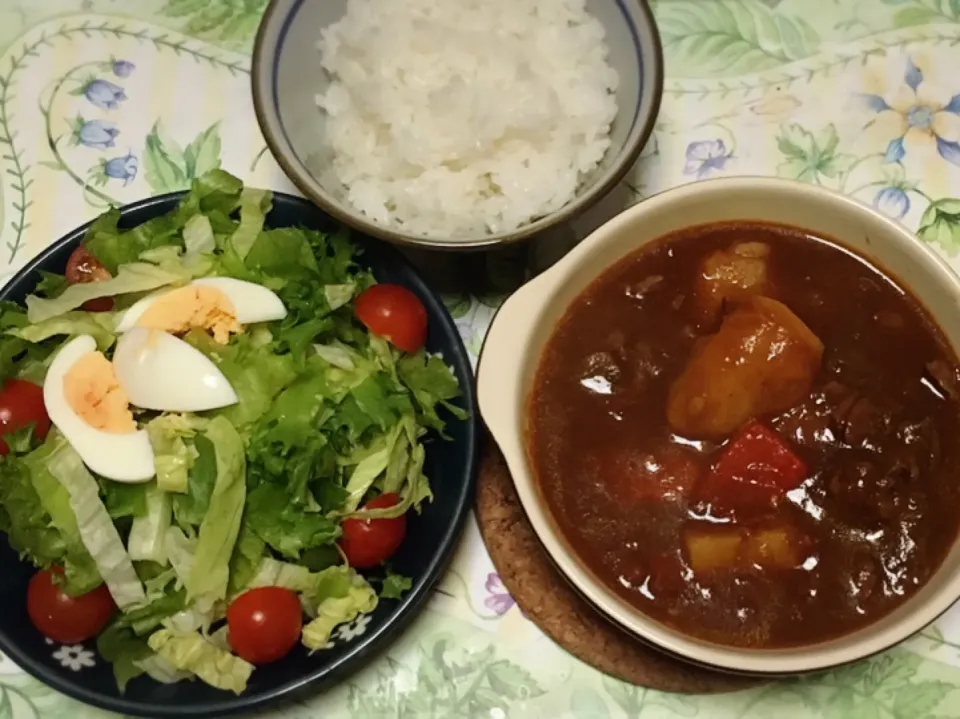 牛スネ肉のシチュー・サラダ|美也子さん