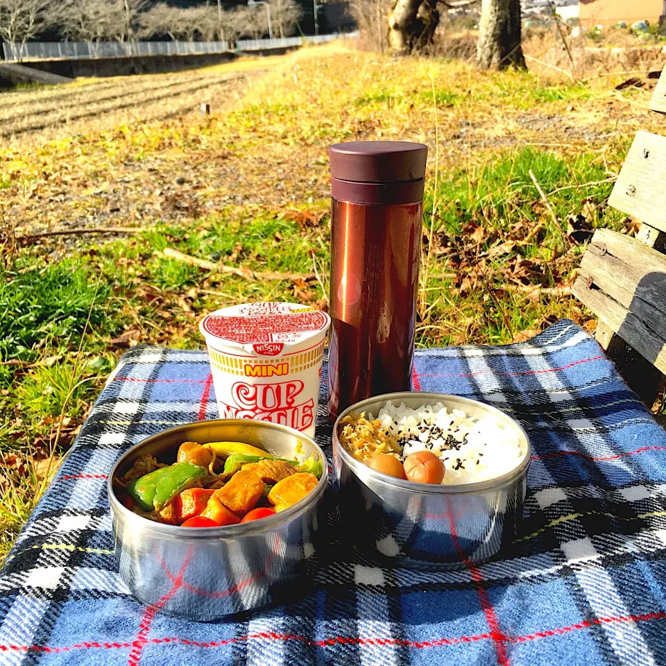 ピクニック・ランチ♬ (▰˘◡˘▰)☝︎ 25 December
 #ピクニック・ランチ  #ピクニック弁当  #ピクニック  #お弁当  #弁当  #obento  #お弁当記録  #今年最後のお弁当  #カップヌードル|Yoshinobu Nakagawaさん