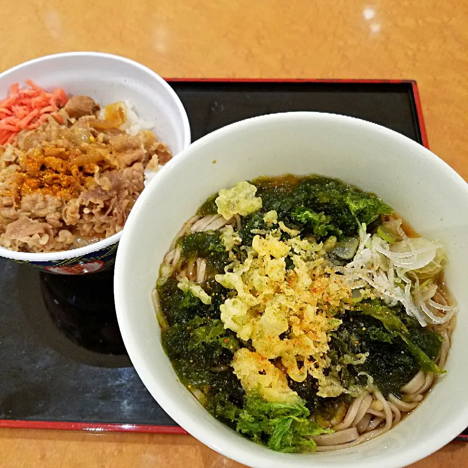 あおさ海苔そば、ミニ牛丼|nobさん