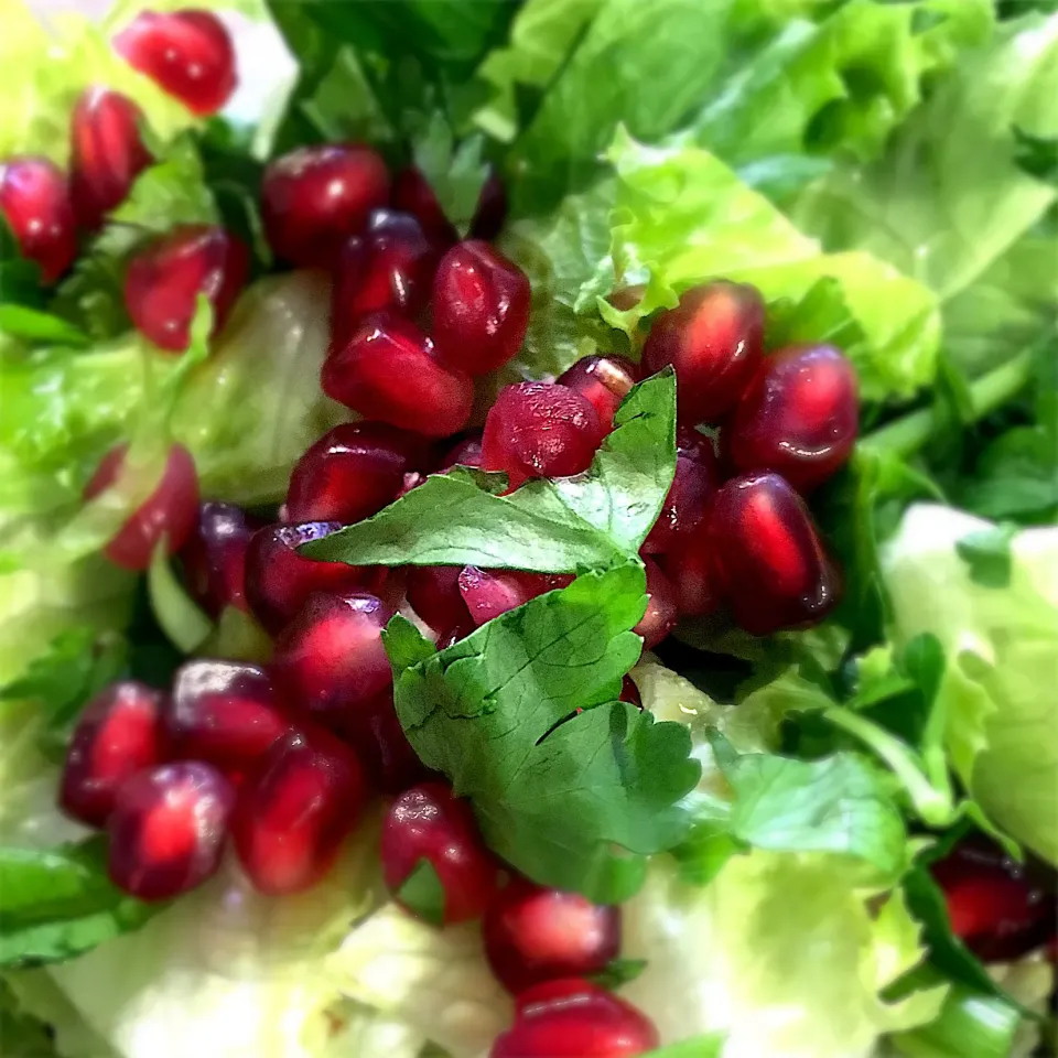 Pomegrate parseley lettuce olive oil lemon|kayoさん