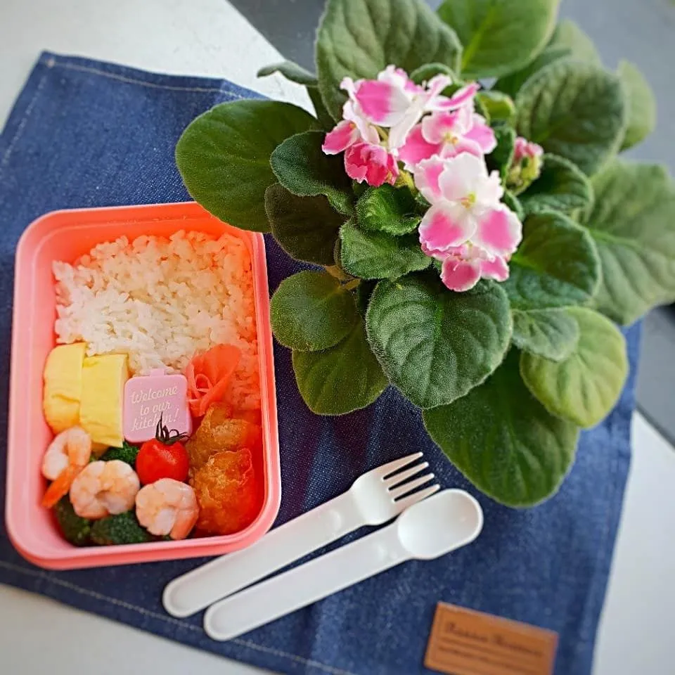 last bento for 2018|Chua Jeanさん