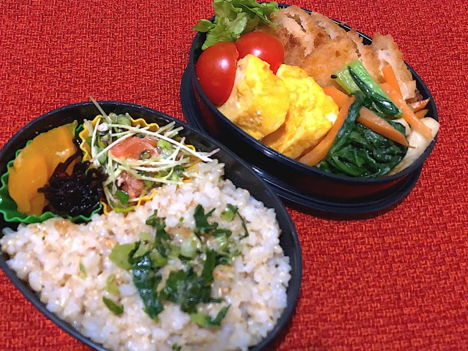 Snapdishの料理写真:12／28昼食  #昼ごはん   #弁当 
•ささみチーズカツ •竹輪と小松菜人参のゴマぽん酢炒め •卵焼き •カイワレと明太子のマヨネーズ和え •山椒昆布 •漬物 •大根菜とジャコのふりかけ •玄米ごはん|おさんどんさん