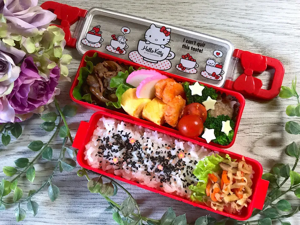 12/29姫のお弁当|harutomomariさん