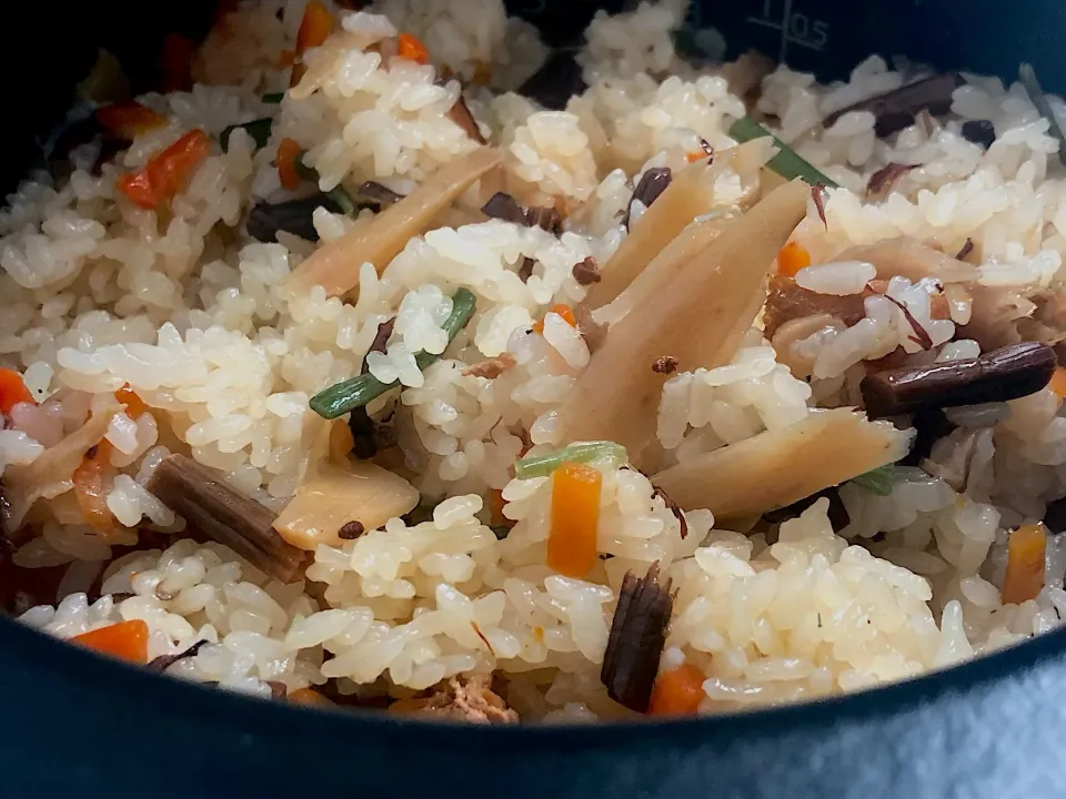 炊き込みご飯   #イタリア人は炊き込みご飯ごはんが好きの巻|女神さん