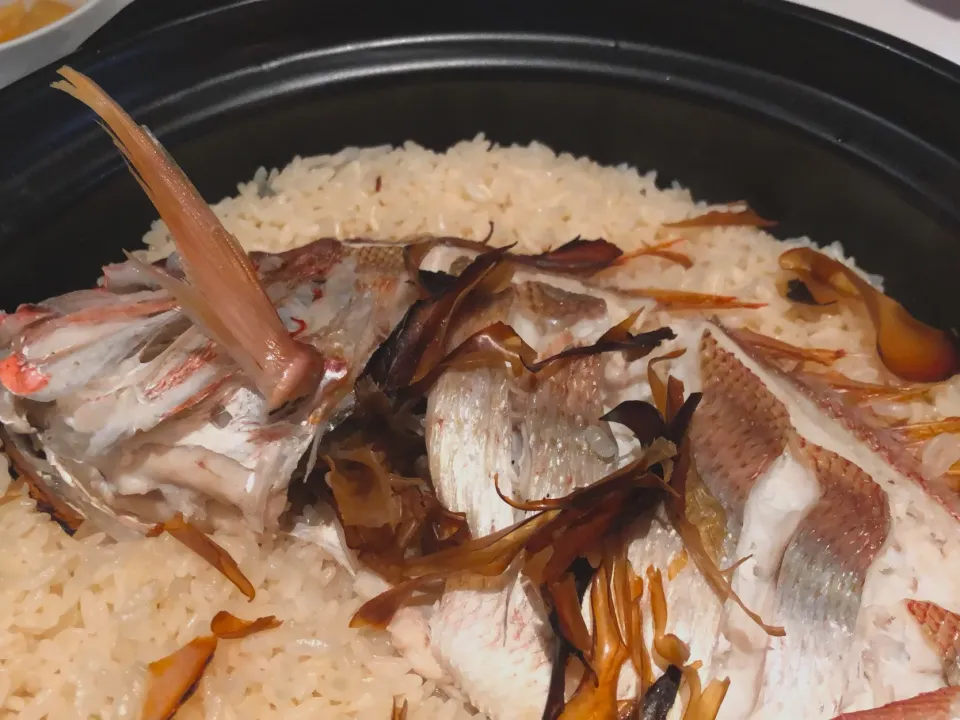 釣った鯛で鯛めしϵ( 'Θ' )϶|女神さん