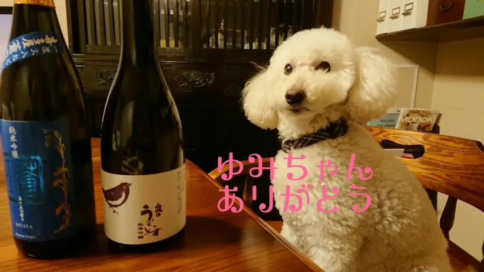 純米吟醸  蒼田と庭のうぐいす|あやさん