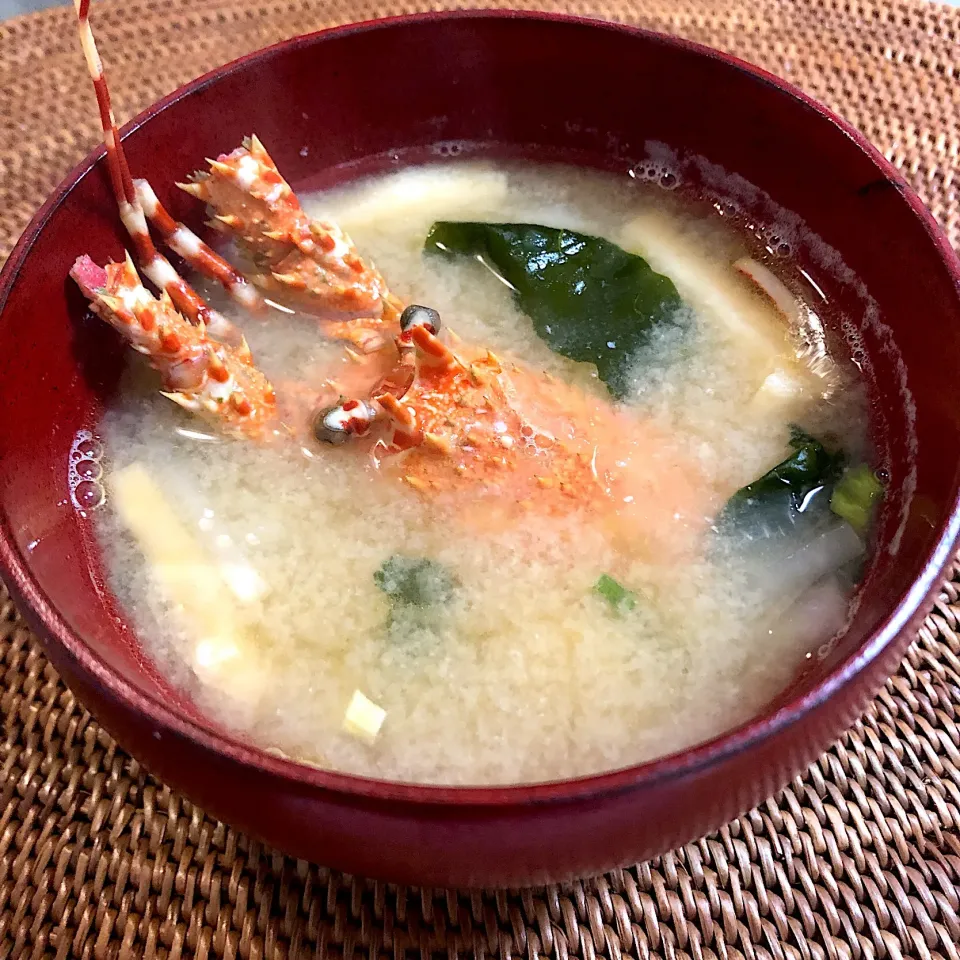 伊勢海老🦞殻の出汁でお味噌汁|nao子さん