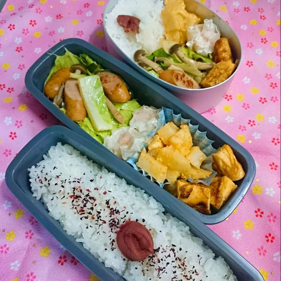 野菜炒め弁当|jun(・x・)さん