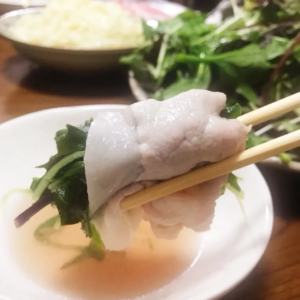 Snapdishの料理写真:緑野菜たっぷりしゃぶしゃぶ鍋🍲|HALさん