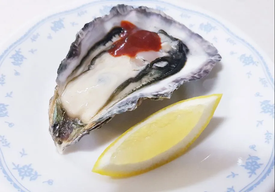 fresh oysters|steven z.y.さん