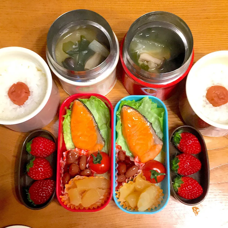 保温ごはん味噌汁シャケ弁当|ツインズママさん