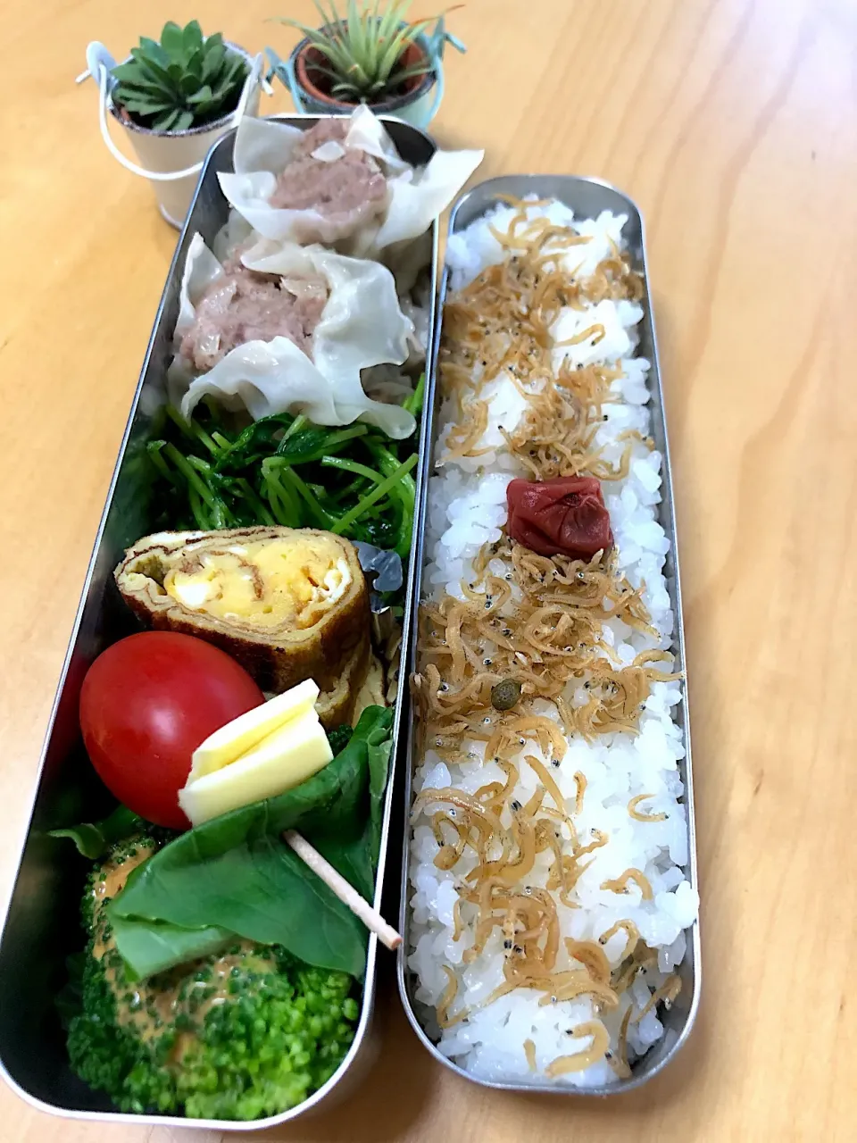 シュウマイ 豆苗炒め 卵焼き ブロッコリー トマトバジルチーズ串弁当 新年初お弁当朝からシュウマイ！|Kumiko Kimuraさん