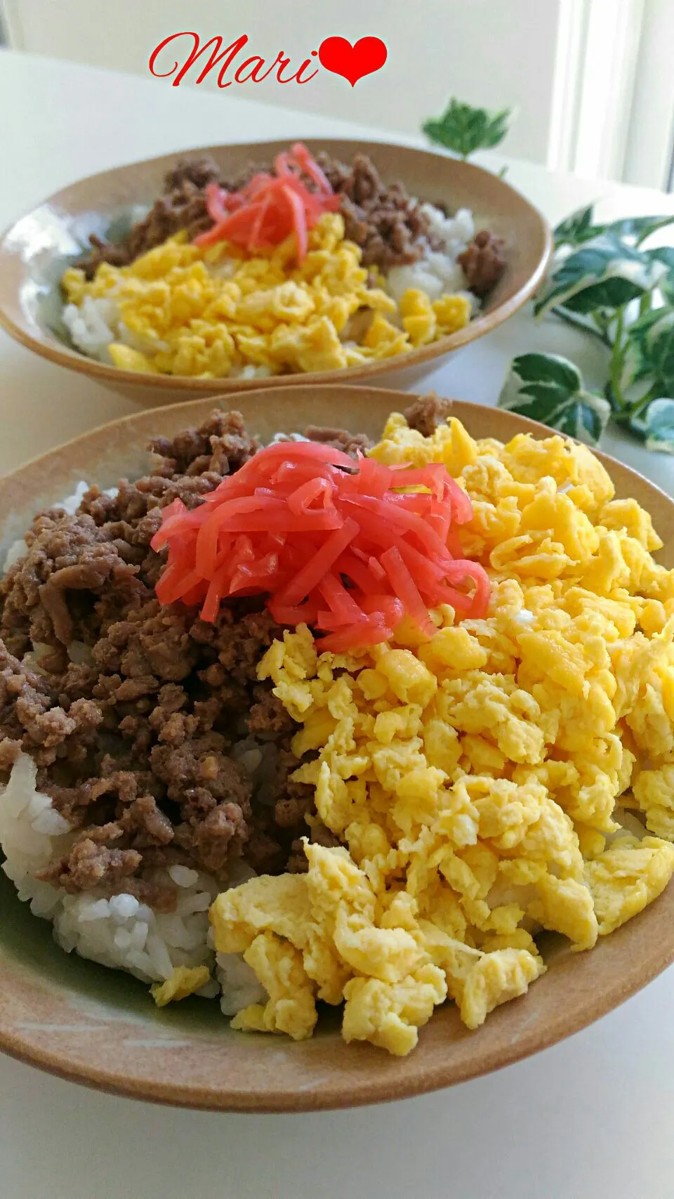 Snapdishの料理写真:《レシピ有》レンジで簡単☆そぼろ丼、ヘクセンハウス、冬休み終了♪|Mariさん