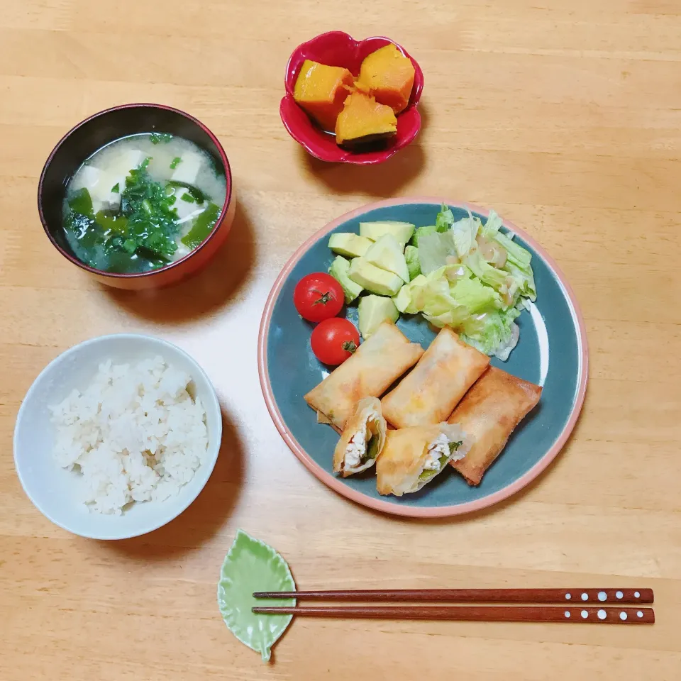 ささみと梅しその揚げ春巻き
かぼちゃの煮物🎃|ちゃみこさん