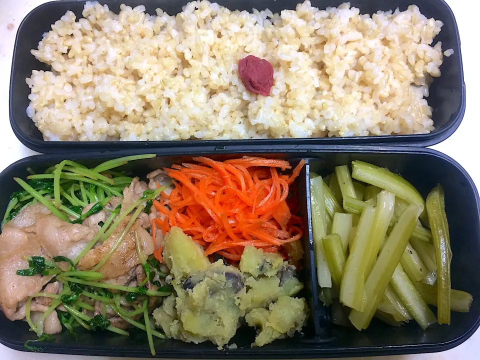 #今日のお弁当|Victoryageさん