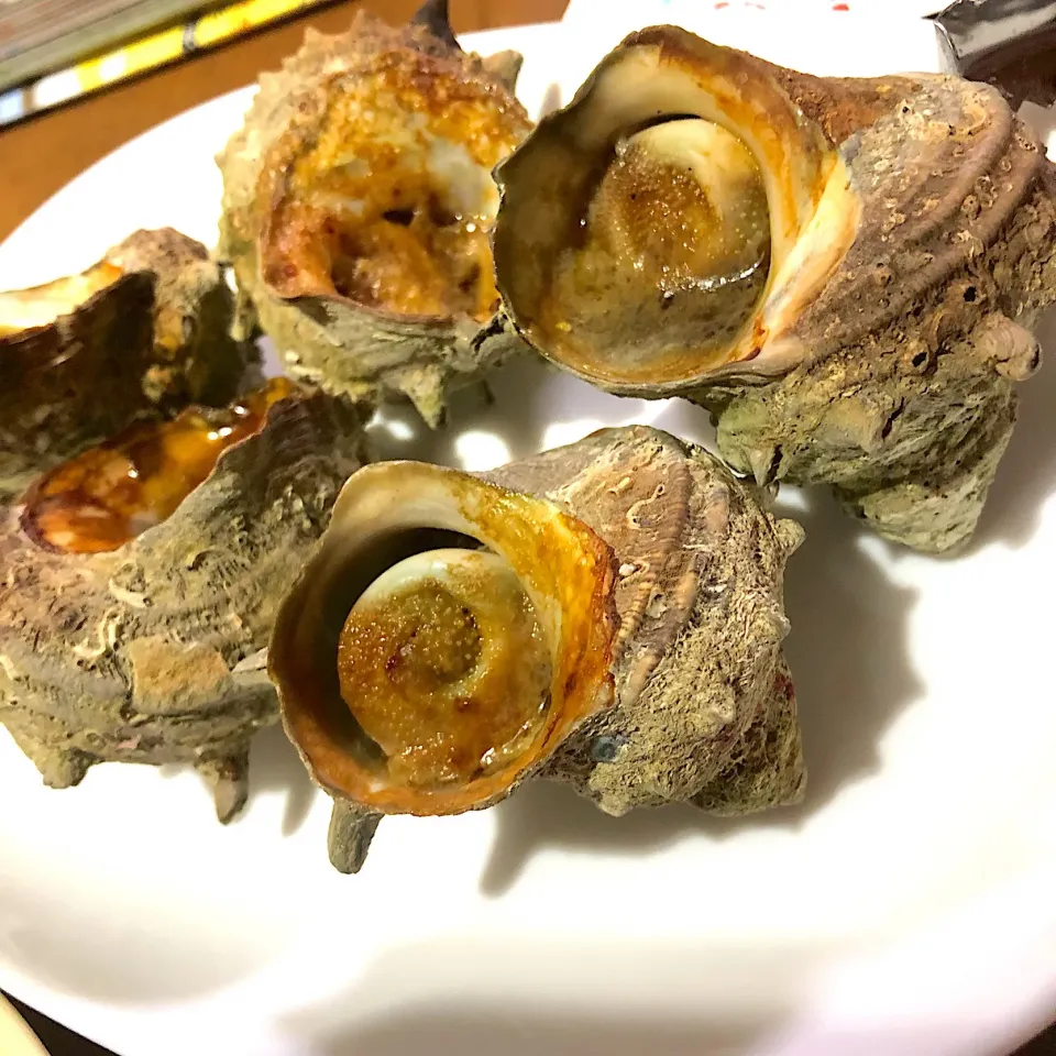 サザエの壺焼き|宙まめさん