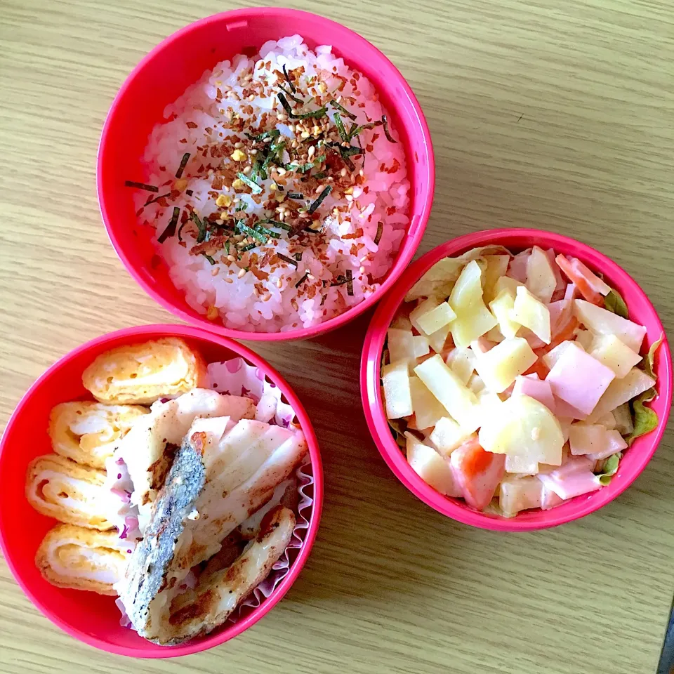 Snapdishの料理写真:今日のお弁当|くろまきさん