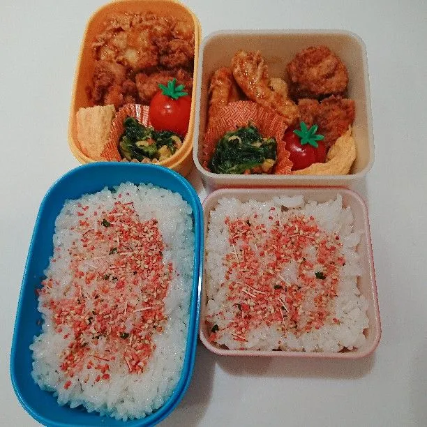 1/9(水)の二人弁当🍱|ふみぃさん