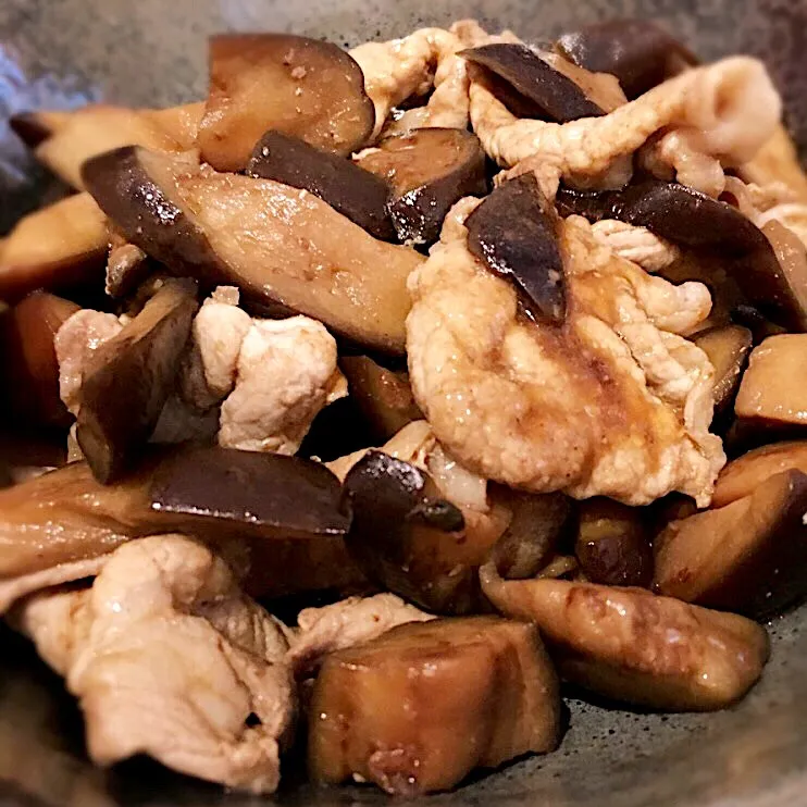 茄子と豚肉の甜麺醤炒め|❁❁❁さん