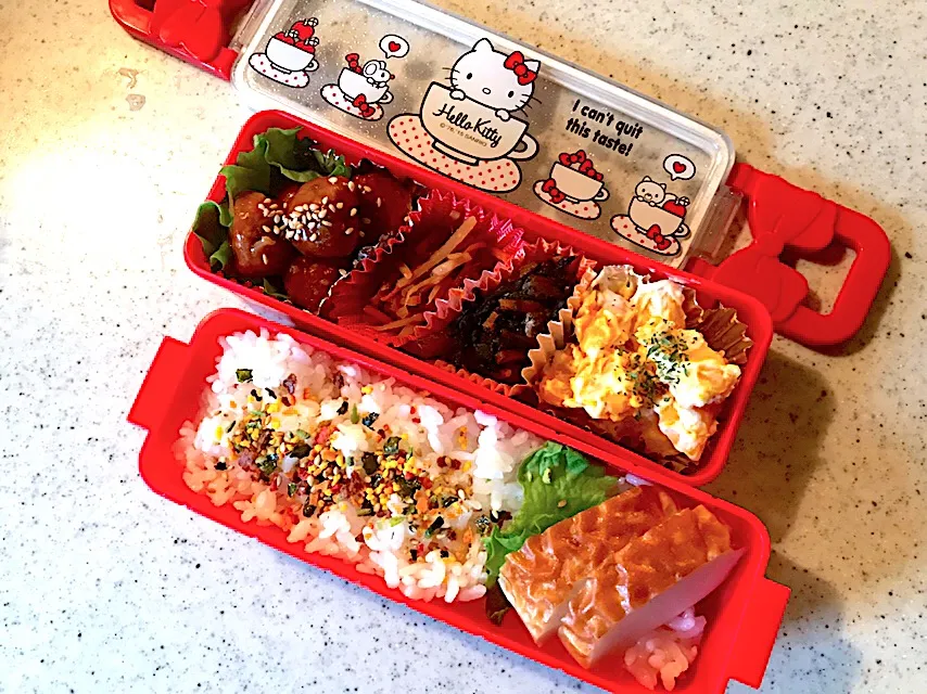 1/10姫のお弁当|harutomomariさん