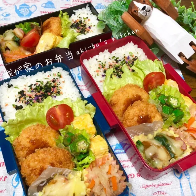 我が家のお弁当1/11|アキーバさん