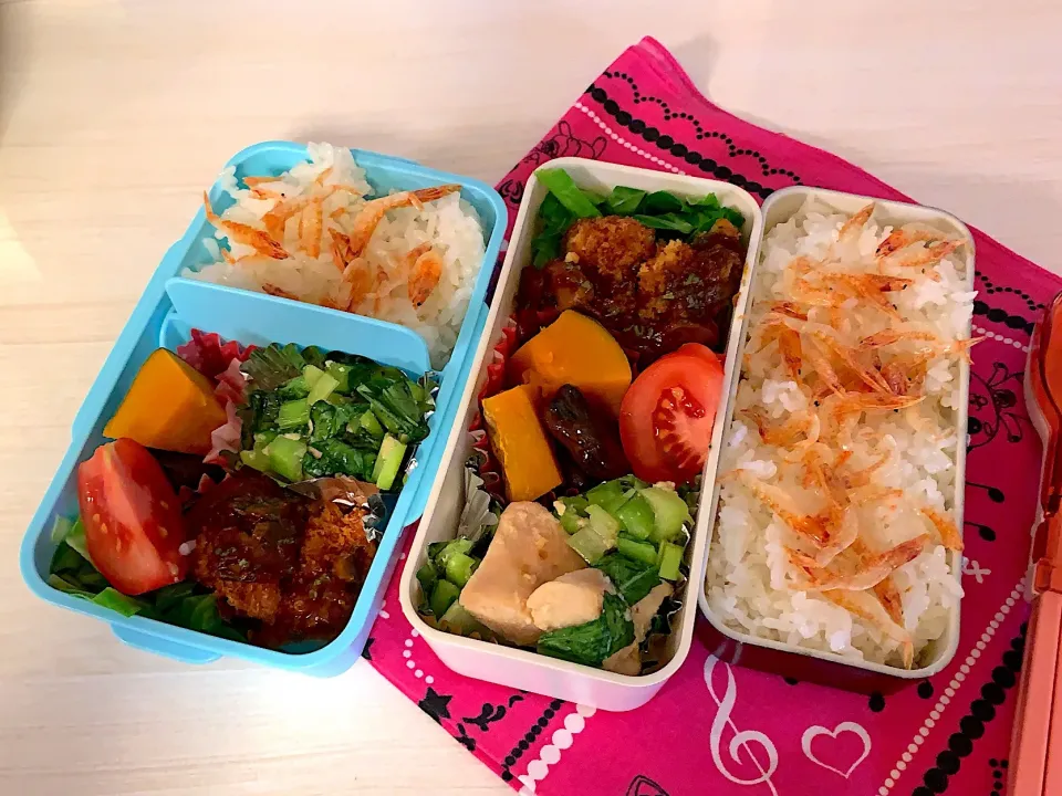 #中学生のお弁当#小学生のお弁当|Yoko Hattoriさん