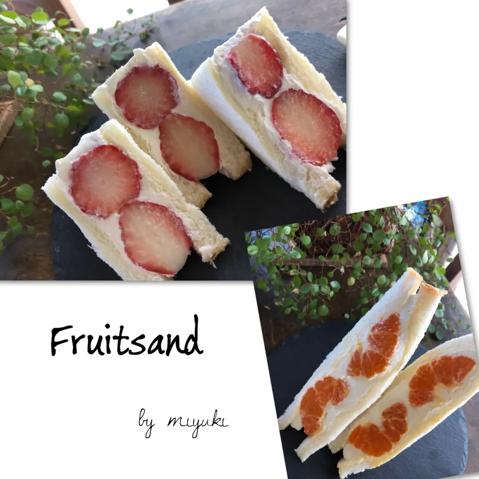 フルーツサンド🍓🍊|みゆきさん