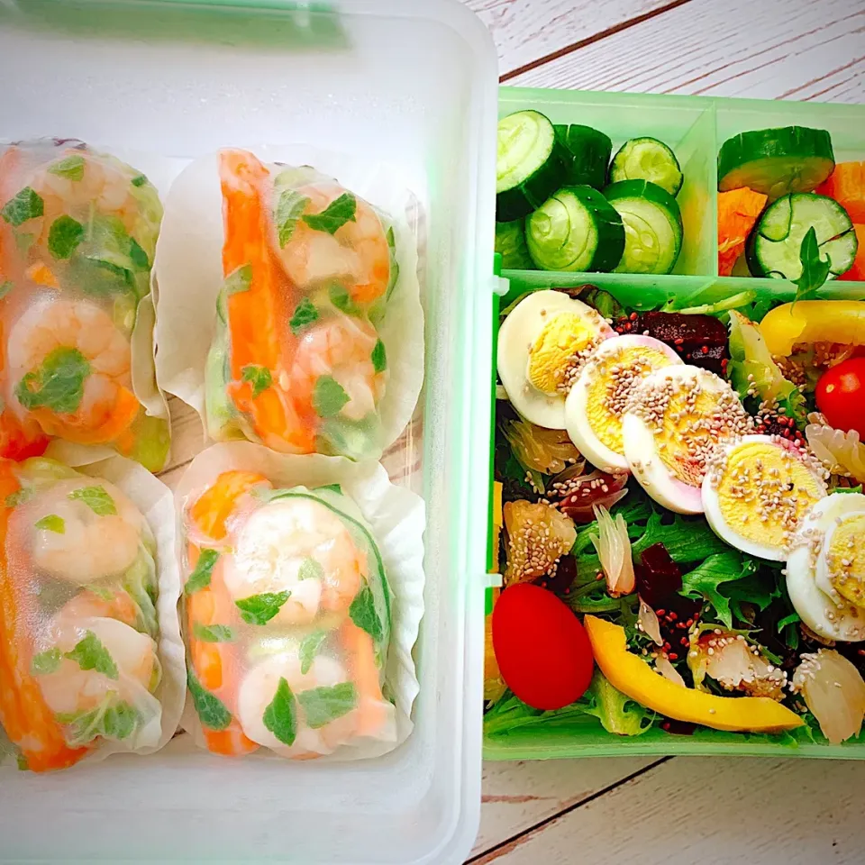 お弁当♪🦐エビの生春巻き・サラダ🥗|キノコ🍄さん