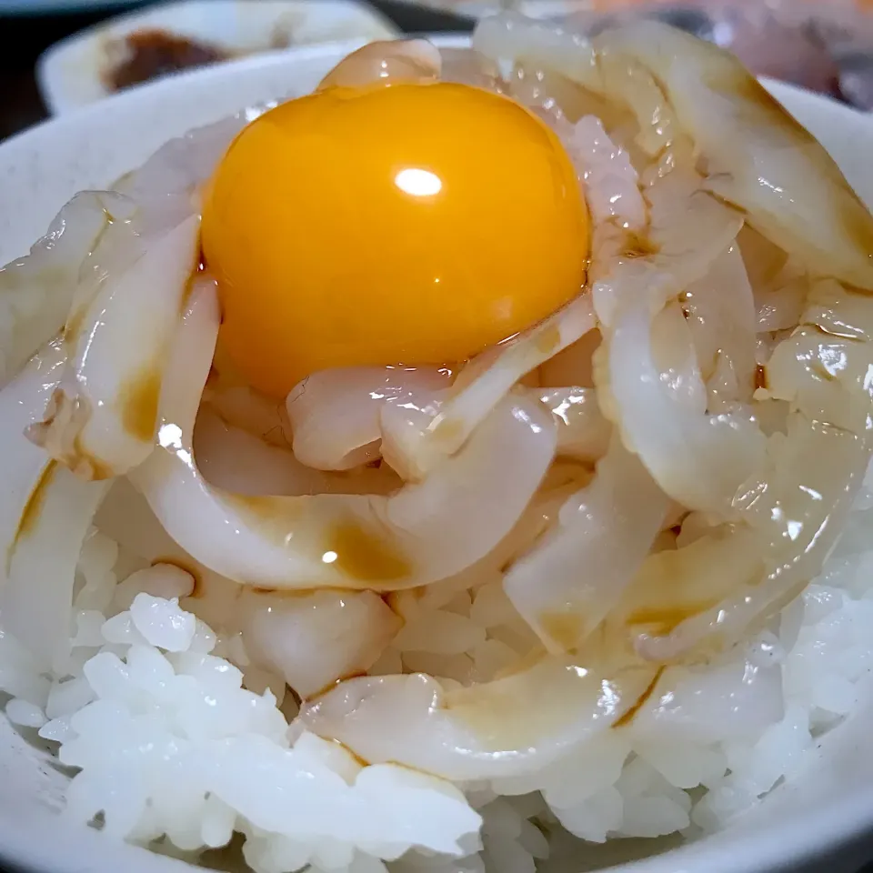 釣りたてスルメイカ丼|Mayo  Yamamotoさん