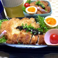 水曜日のお弁当|suzzyさん