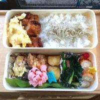 Snapdishの料理写真:高校生男子弁当|ぽんさん