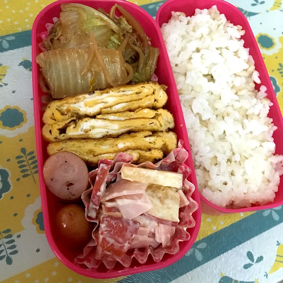 190116お弁当|mioさん