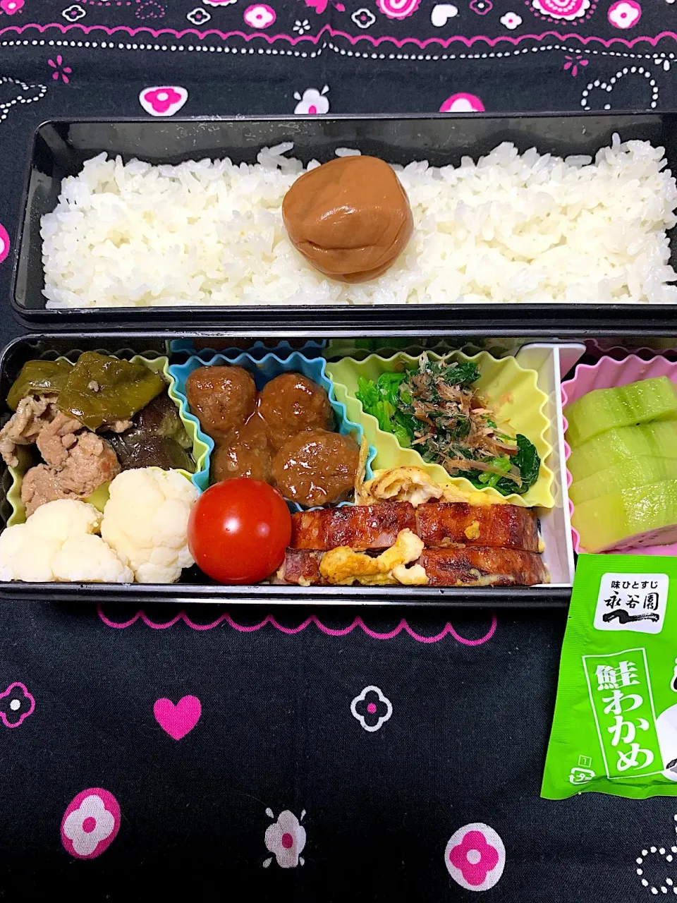 娘のお弁当1/18|iguigupopさん