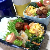 Snapdishの料理写真:次男と私のお弁当|suzzyさん